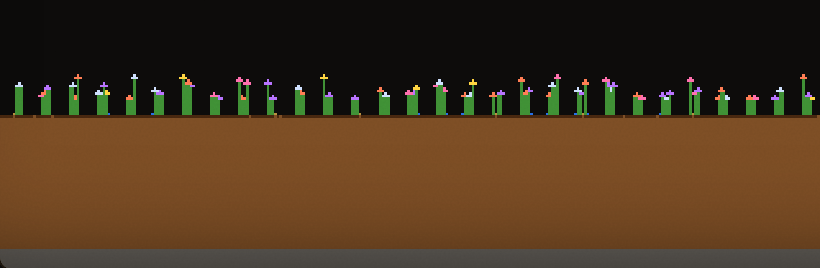 A row of flowers in five colours growing out of soil